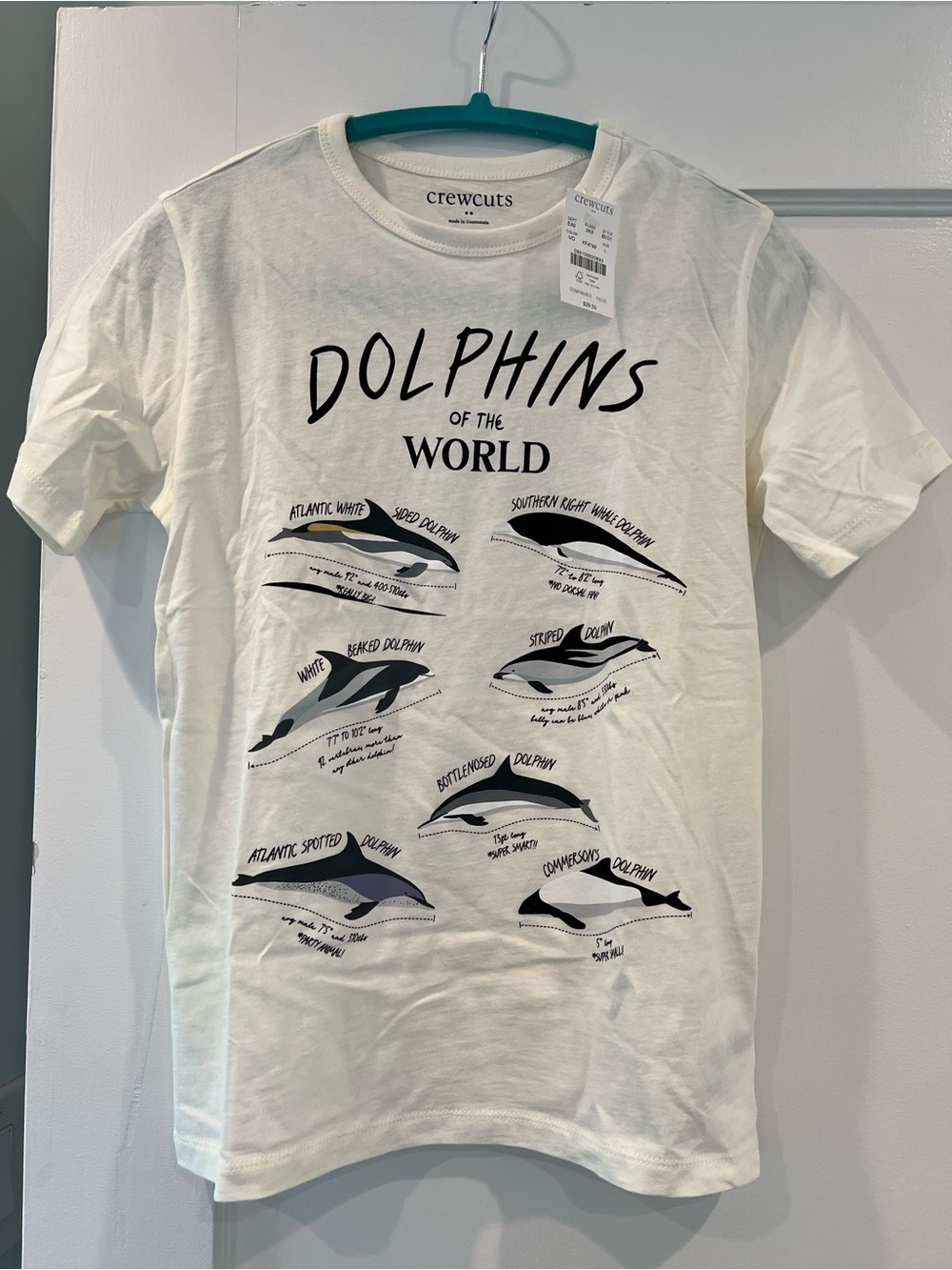 NWT! J. Crew Dolphins T-shirt, boys' size L (10-11)